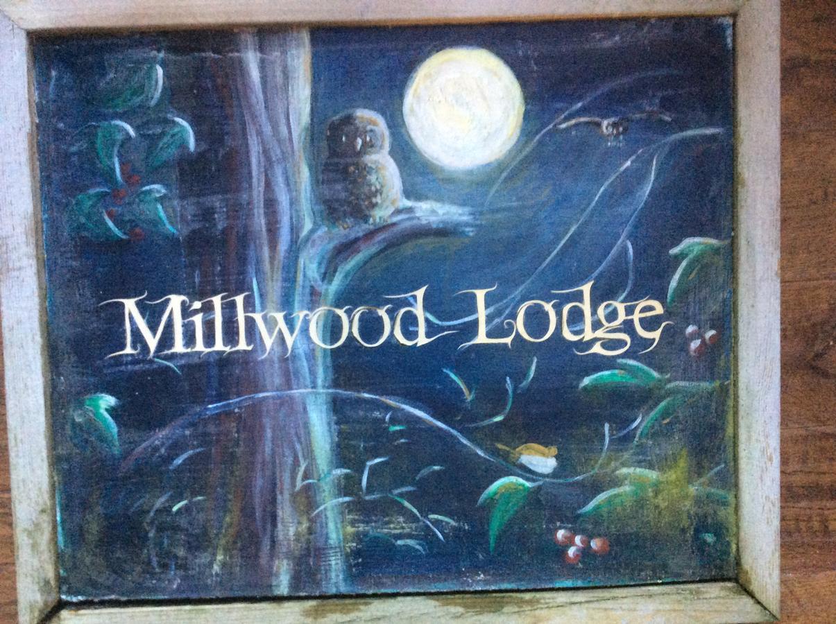 Millwood Lodge Barrow-in-Furness Exterior foto